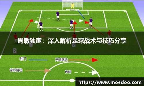 球王会体育