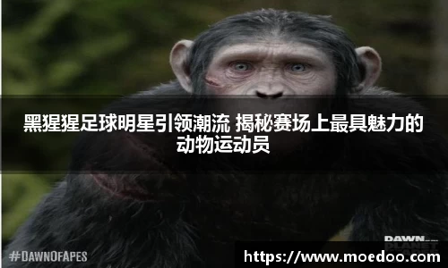 球王会官网