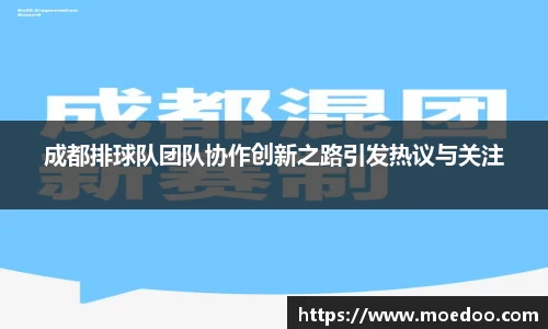 成都排球队团队协作创新之路引发热议与关注