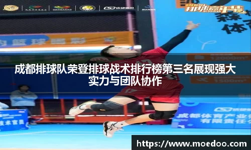 成都排球队荣登排球战术排行榜第三名展现强大实力与团队协作