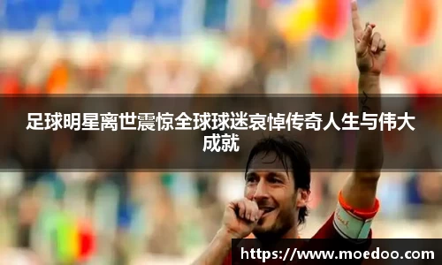 球王会体育