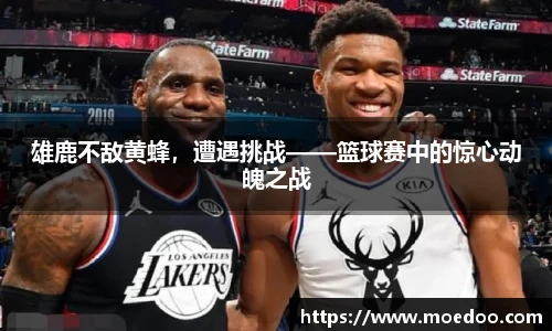 球王会体育