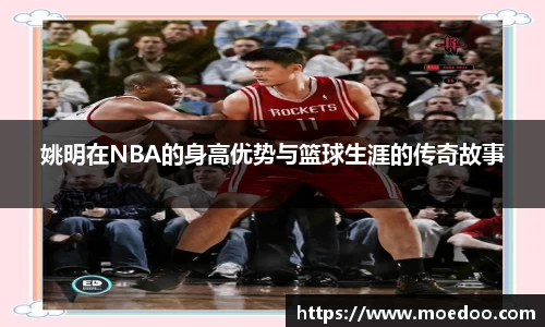 球王会体育