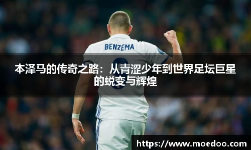球王会官网